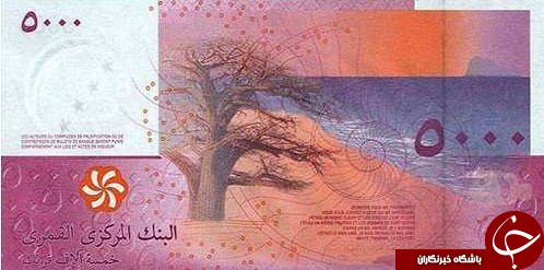 زیباترین اسکناس های جهان/ تصاویر