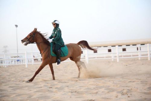 تصاویر زنان پلیس اسب اسوار