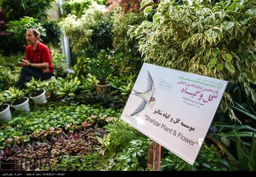 نمایشگاه فصلی گل و گیاه تهران/تصاویر