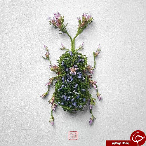 تصاویری از گل هایی که تبدیل به حشره شدند