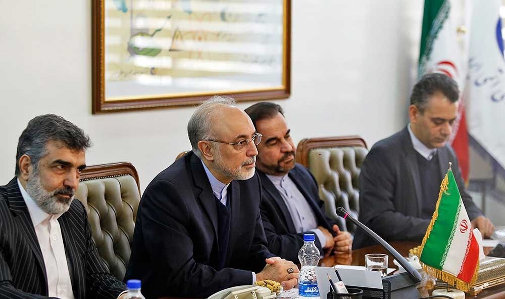تصاویر دیدار آمانو با صالحی