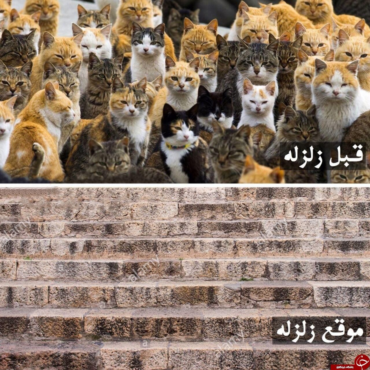 آیا می‌توان زلزله را پیش‌بینی کرد؟/عکس