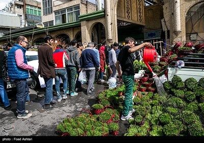 شهر در چند قدمی بهار/تصاویر