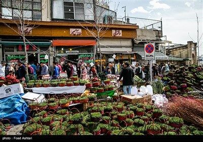 شهر در چند قدمی بهار/تصاویر