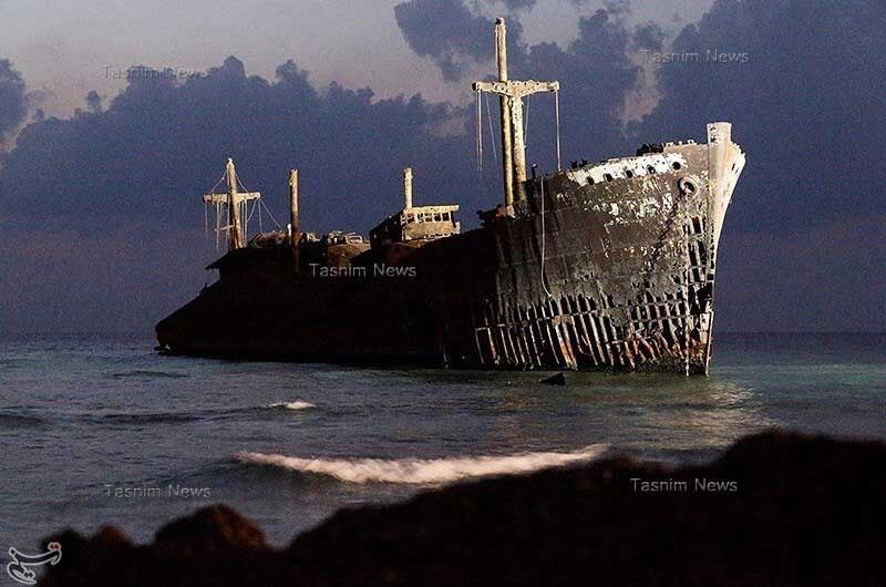 مهمان ناخوانده جزیره کیش/تصاویر