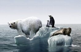 زمین هنوز شانس نجات دارد؟