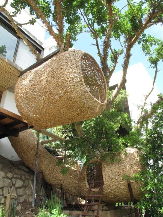 خانه ای به سبک پرندگان/تصاویر