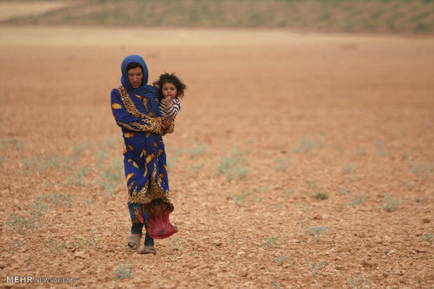 تصاویر نبرد در حلب