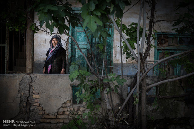 زندگی در ترکمن صحرا/تصاویر