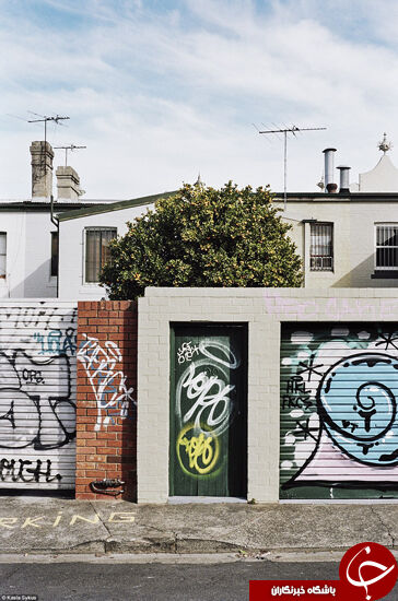 هنری که غیر قانونی است /تصاویر