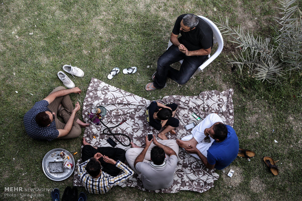 زندگی روزمره یعنی.../تصاویر