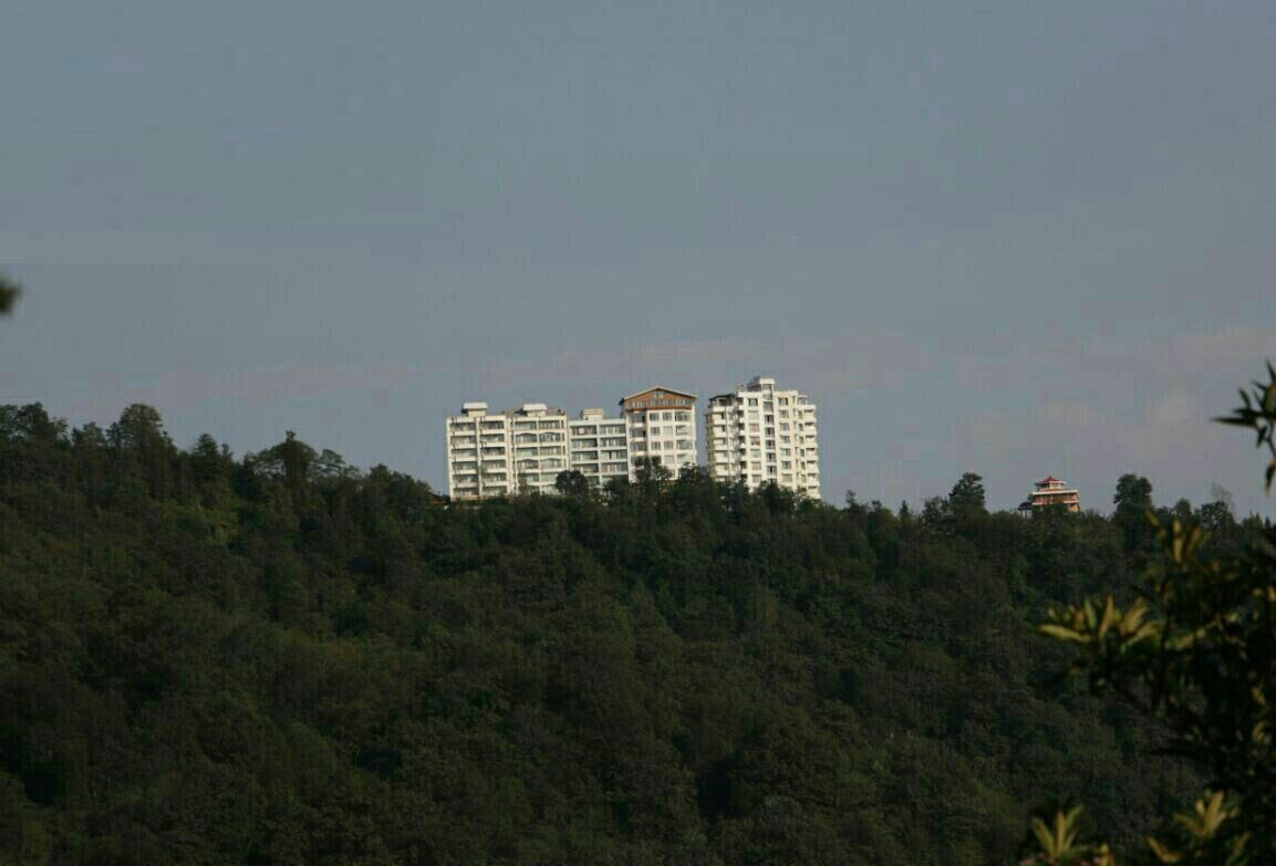 زمین خواری در جنگل‌های شمال کشور