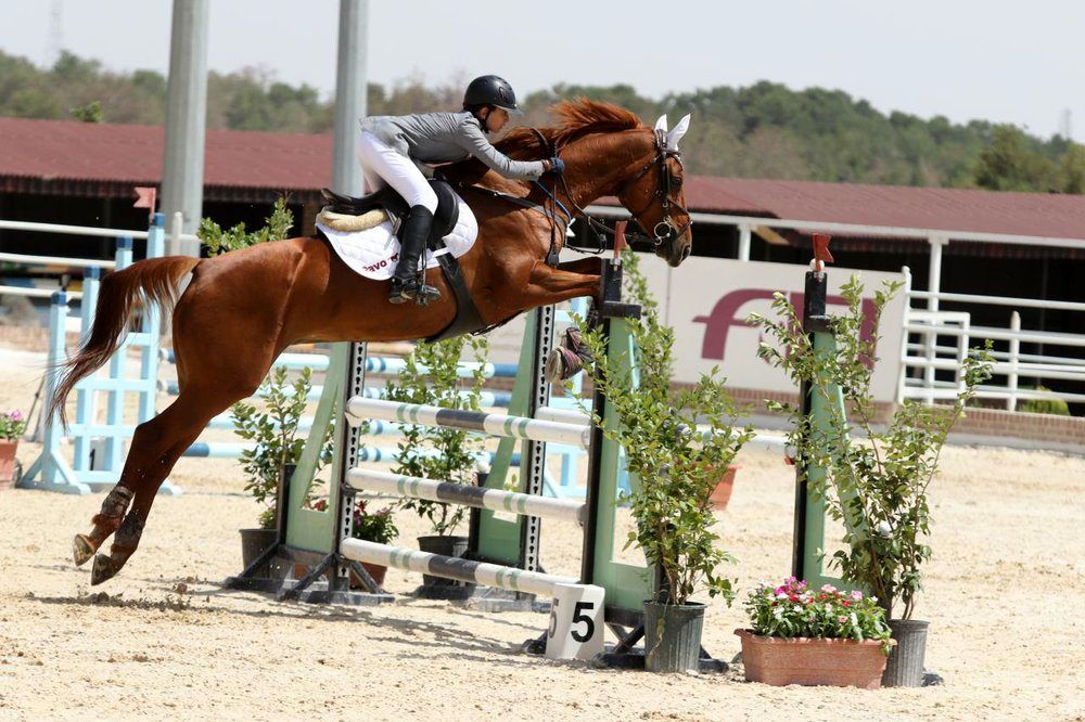 شام‌الاسد:قهرمان‌مسابقات‌پرش‌بااسب‌تهران