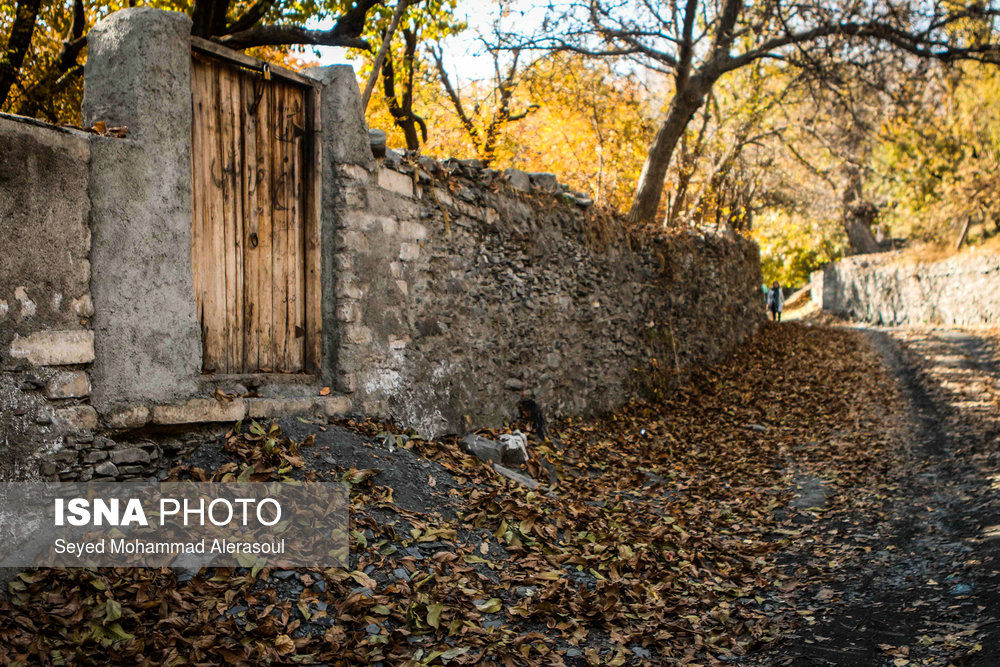 طبیعت پاییزی شاندیز - مشهد/تصاویر