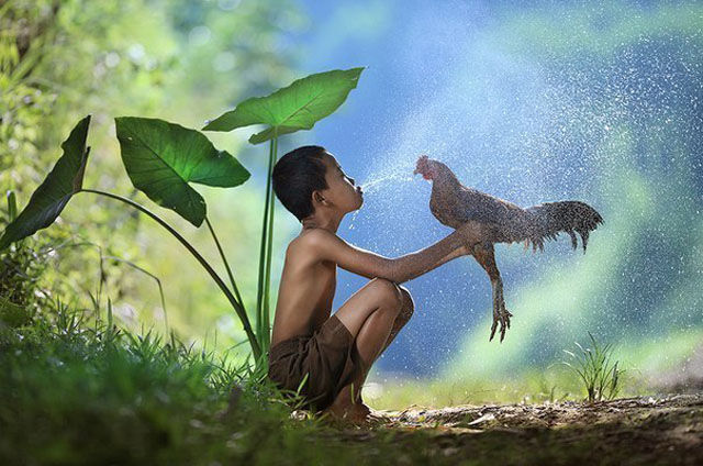 عکس برگزیده نشنال جئوگرافیک
