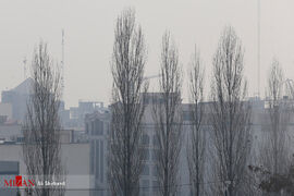 تهران در محاصره دود/تصاویر