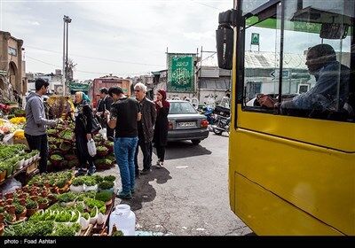 شهر در چند قدمی بهار/تصاویر