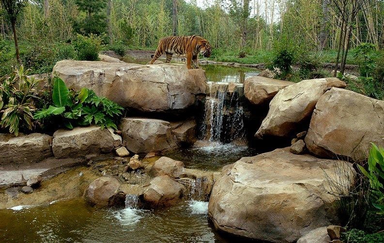 وقتی نه از باغ نشانی هست و نه از حیات وحش