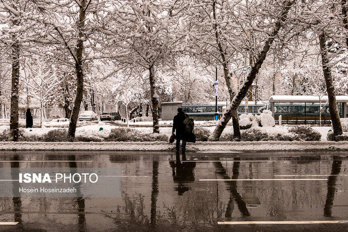تصاویری از بارش شدید برف در مشهد و رشت
