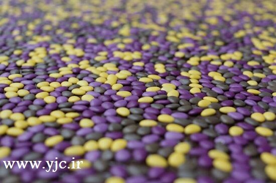 خوشمزه ترین قلعه دنیا/تصاویر