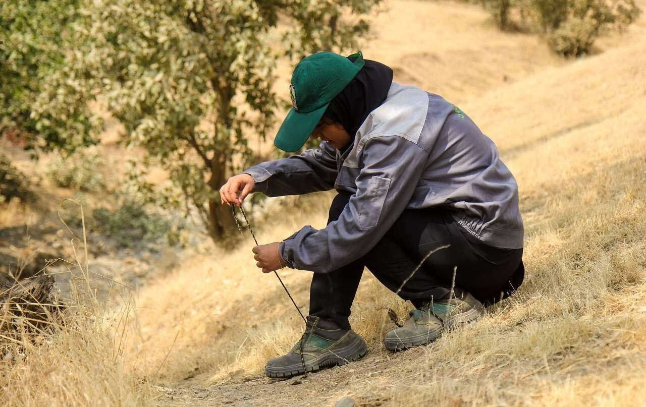 بانوی جنگلبان کردستان/تصاویر