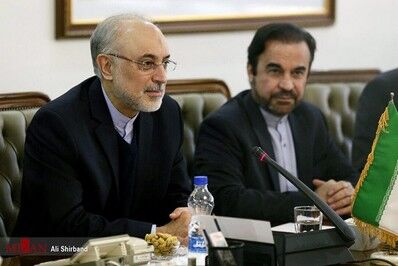 حواشی دیدار صالحی و آمانو /تصاویر