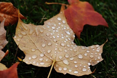 این عکس‌ها شما را شگفت‌زده می‌کند