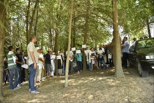 پارک جنگلی محمودآباد فروخته شد