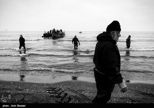 تصاویر دلنشین ماهیگیری در بندرانزلی
