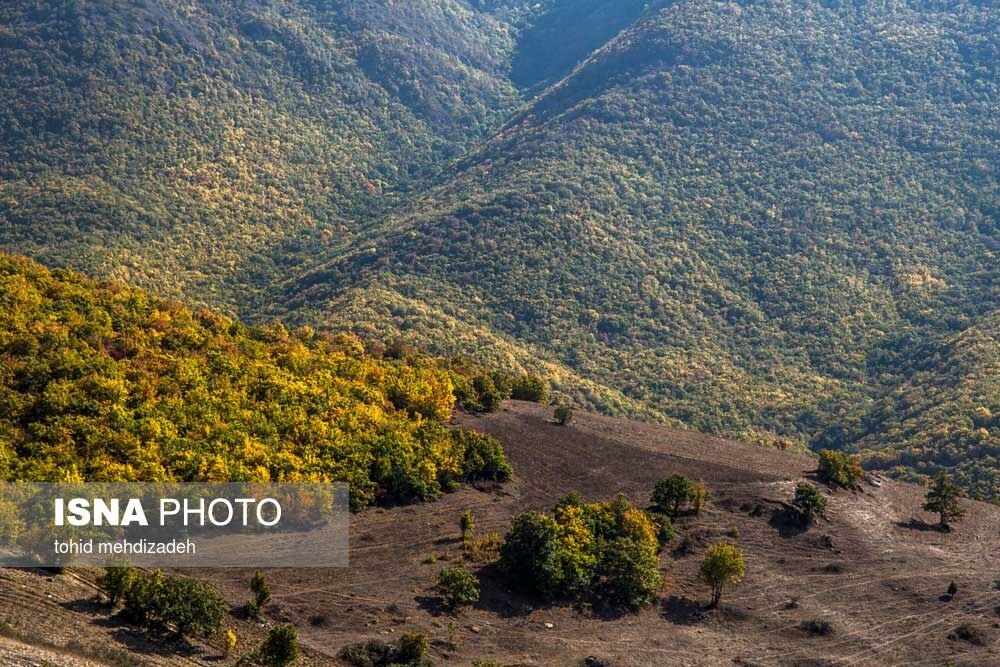 طبیعت پاییزی جنگل‌های ارسباران