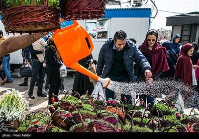 شهر در چند قدمی بهار/تصاویر