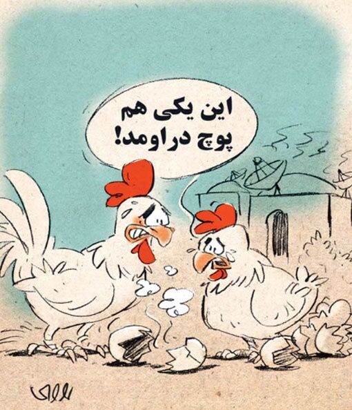 این هم تاثیر پارازیت روی بچه دار شدن!