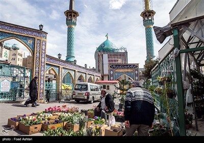 شهر در چند قدمی بهار/تصاویر